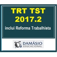 Analista e Técnico TRT_TST 2017.2 – Damásio 2018.1