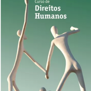 Curso De Direitos Humanos 4ª Ed 2017 André De Carvalho Ramos